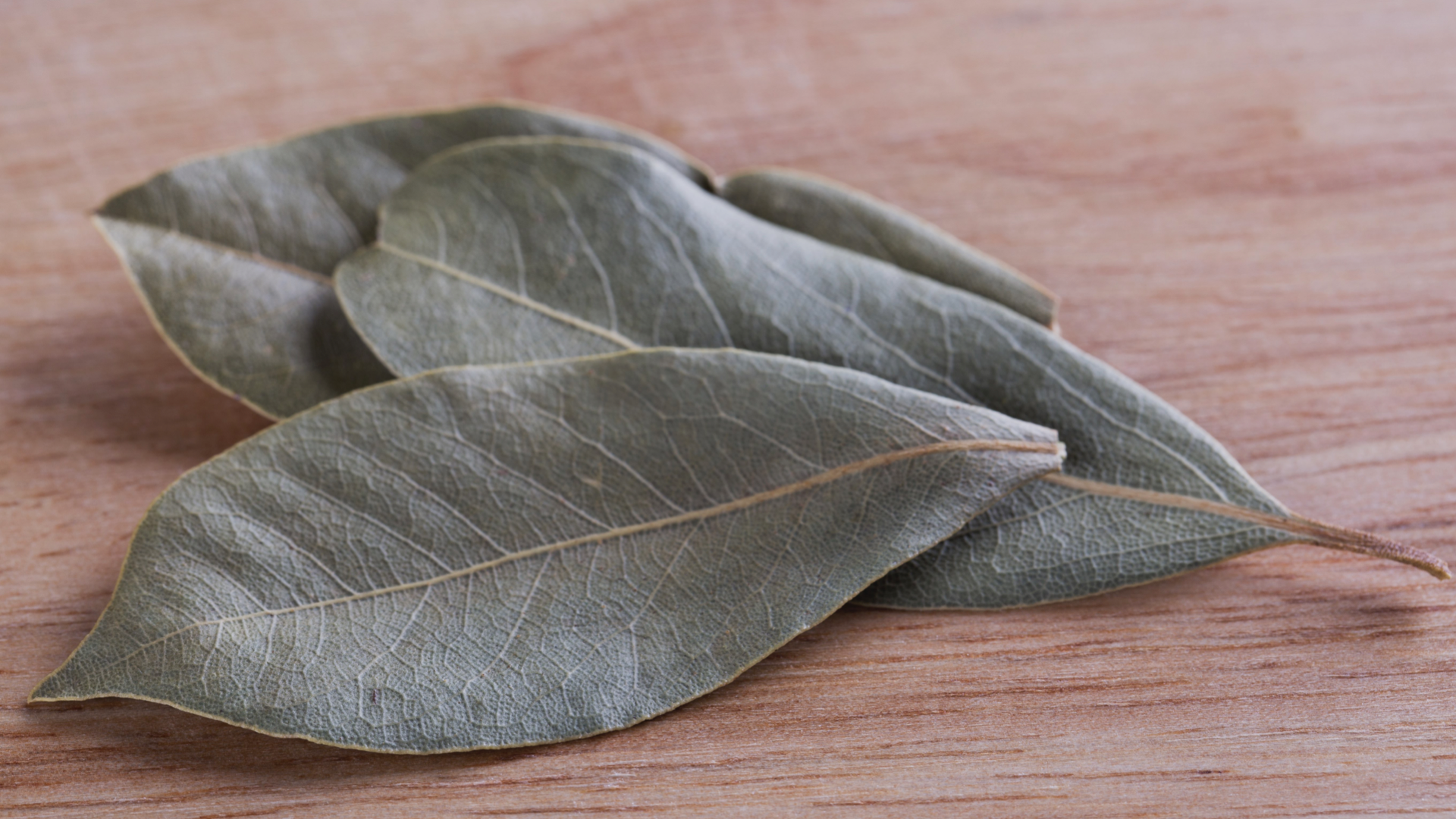 What Are the Bay Leaves of Education?